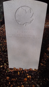 Headstone after cleaning