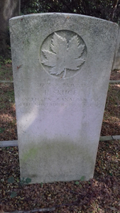 Headstone before cleaning